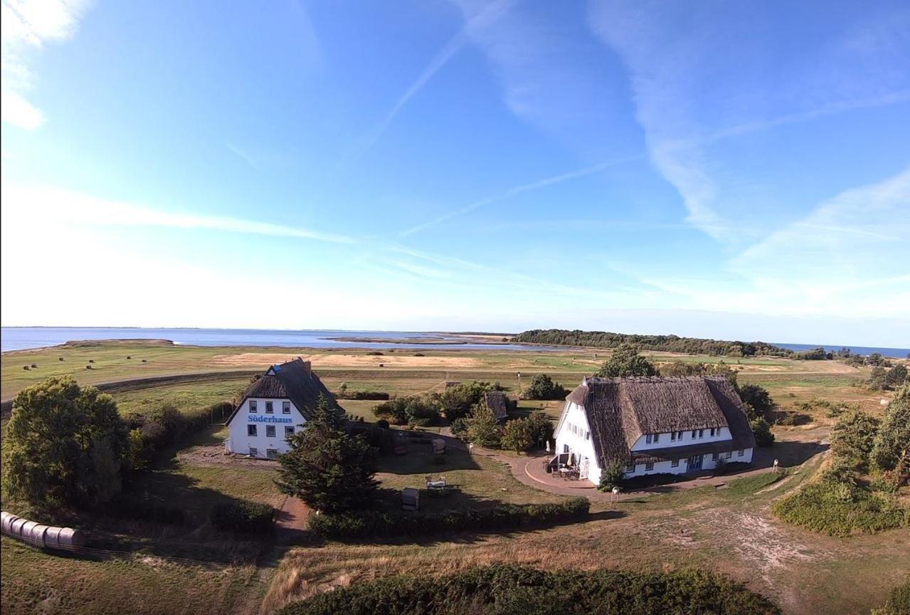 Suederhaus Hiddensee App 8 Appartement *