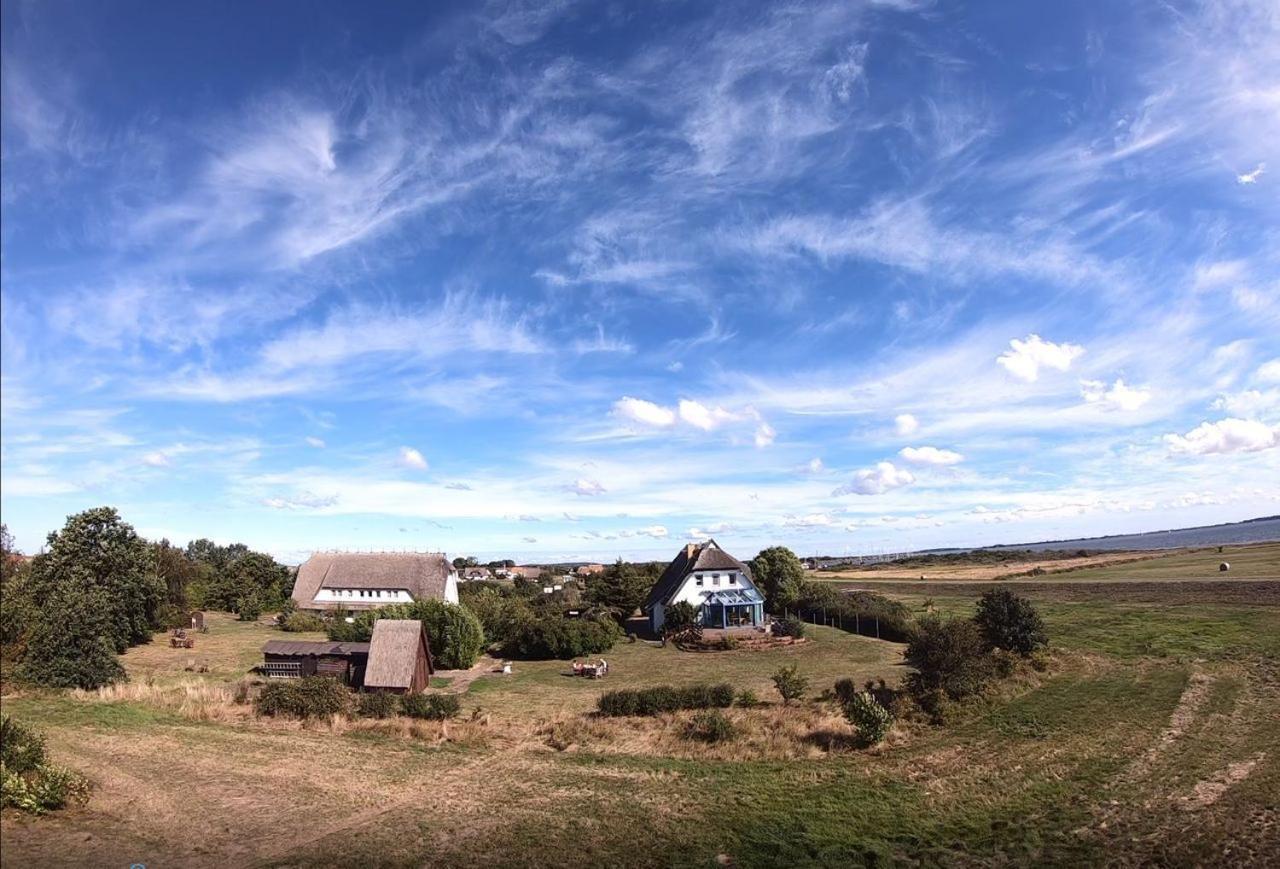 Suederhaus Hiddensee App 8 * Neuendorf (Hiddensee)
